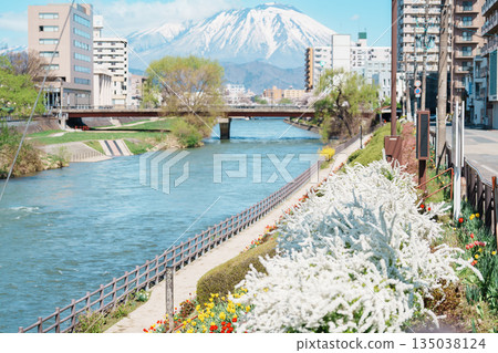 Beautiful Iwate mountain and Kitakami river with flowers blooming in Spring season, cityscape against blue sky in Morioka city, Iwate prefecture, Japan. famous Landmark Travel and Vacation destination 135038124