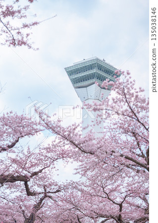 Beautiful Sakura Cherry Blossom in Spring season. Goryokaku Tower park in Hakodate city, Hokkaido prefecture, Japan. famous Landmark, Japan Travel and Vacation destination 135038146