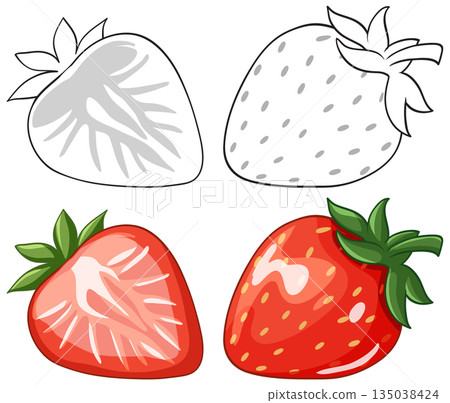 Vector Illustration Set of Whole and Sliced Red Strawberries with Outlines Vector Illustration Set of Whole and Sliced Red Strawberries with Outlines 135038424