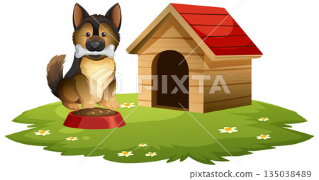 German Shepherd Dog with Bone Beside Wooden Doghouse 135038489