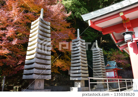 阿卡瑪的阿卡瑪神社 135038620
