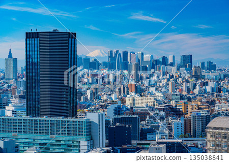 （東京）新宿摩天大樓和富士山 135038841