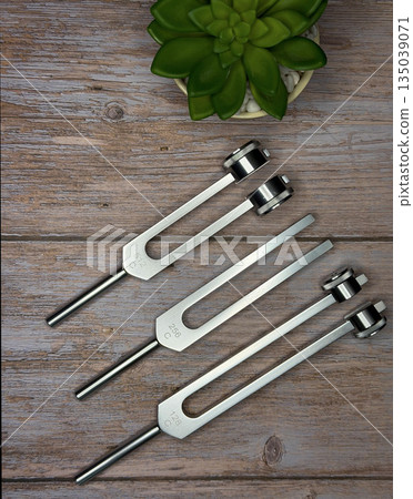 Set of Tuning Forks for Sound Therapy and Healing on Wooden Surface Set of Tuning Forks for Sound Therapy and Healing on Wooden Surface 135039071