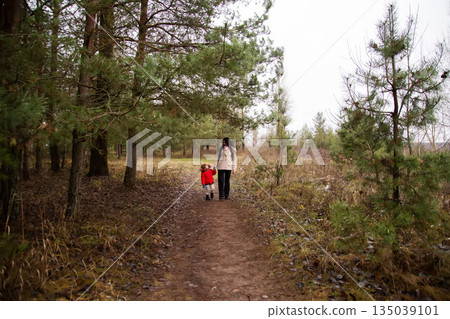 Woman and young child holding hands walking on dirt path through forest with evergreen trees on overcast day during late autumn or early winter season 135039101