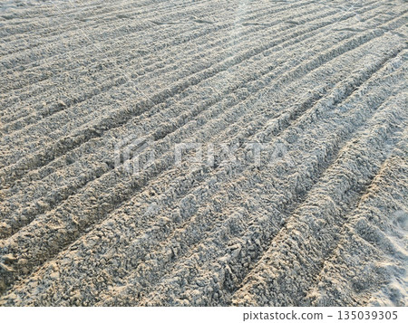 Parallel ridges of groomed sand on beach, textured surface of white granular material raked by machine, abstract pattern of lines in outdoor environment, nobody present 135039305