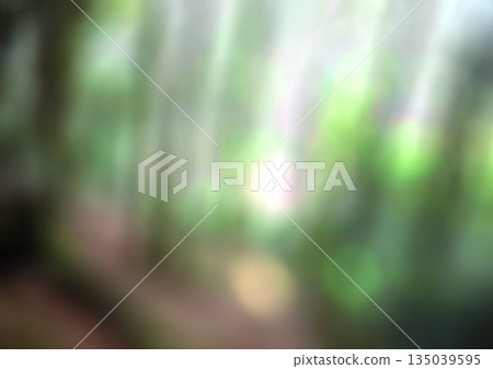 Blurry forest on a sunny day 135039595
