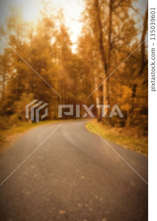Road by trees during autumn 135039601