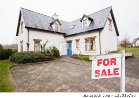 For sale signboard in front of house 135039756
