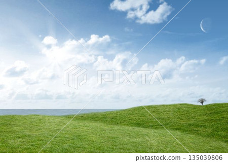 Green field under blue sky Green field under blue sky 135039806