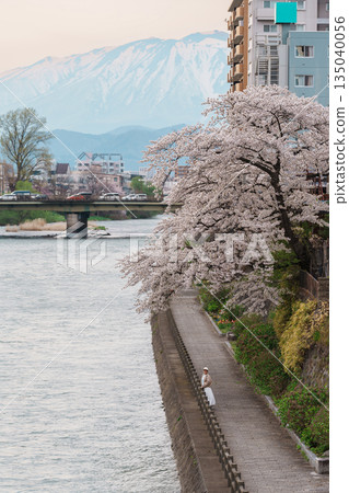 Woman tourist sightseeing Iwate mountain and Kitakami river with flowers in Spring, happy traveler travel in Morioka city, Iwate prefecture, Japan. famous Landmark Travel and Vacation destination Woman tourist sightseeing Iwate mountain and Kitakami river with flowers in Spring, happy traveler travel in Morioka city, Iwate prefecture, Japan. famous Landmark Travel and Vacation destination 135040056
