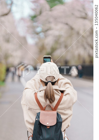 Woman tourist sightseeing and taking photo Sakura Cherry Blossom in Spring. traveler travel in Samurai village in Kakunodate town, Semboku District, Akita Prefecture, Japan. Landmark and vacation Woman tourist sightseeing and taking photo Sakura Cherry Blossom in Spring. traveler travel in Samurai village in Kakunodate town, Semboku District, Akita Prefecture, Japan. Landmark and vacation 135040062