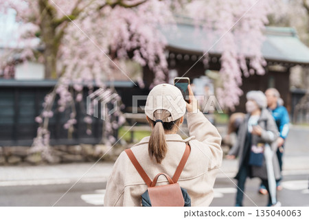 Woman tourist sightseeing Sakura Cherry Blossom in Spring. Happy traveler travel in Samurai village or Little Kyoto in Kakunodate town, Semboku District, Akita Prefecture, Japan. Landmark and Vacation Woman tourist sightseeing Sakura Cherry Blossom in Spring. Happy traveler travel in Samurai village or Little Kyoto in Kakunodate town, Semboku District, Akita Prefecture, Japan. Landmark and Vacation 135040063