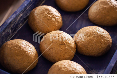 Preparation of fresh bread dough balls in blue tray for baking artisan loaves. Fermentation process of organic wheat flour mixture for bakery. 135040277