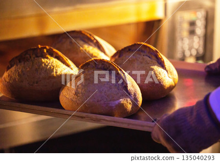 Four round loaves of golden-brown bread on metal tray placed into brightly lit oven by gloved hand, artisan bakery production 135040293