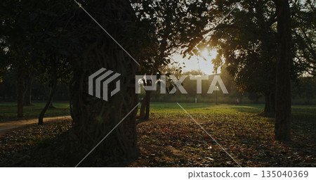 Red Fort garden avenue with ancient trees and romantic pathway architectural heritage landscape 135040369