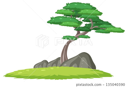 Curved Pine Tree Growing Beside Large Gray Rocks 135040390