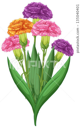 Vibrant Carnation Bouquet Vector Illustration 135040401