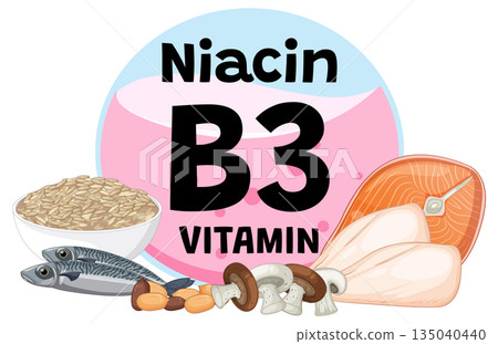 Vitamin B3 Niacin Rich Foods Vector Illustration Vitamin B3 Niacin Rich Foods Vector Illustration 135040440