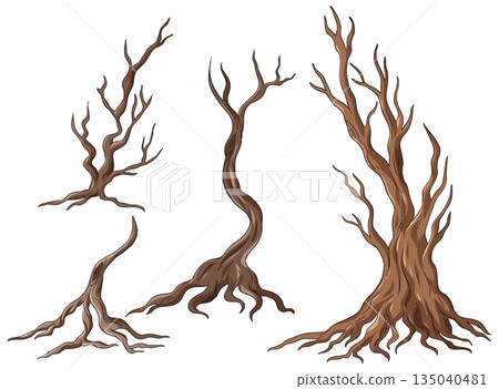 Twisted Bare Tree Trunks and Branches Vector Illustration Twisted Bare Tree Trunks and Branches Vector Illustration 135040481