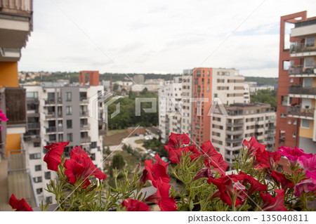 Red petunias blooming on balcony overlooking cityscape 135040811