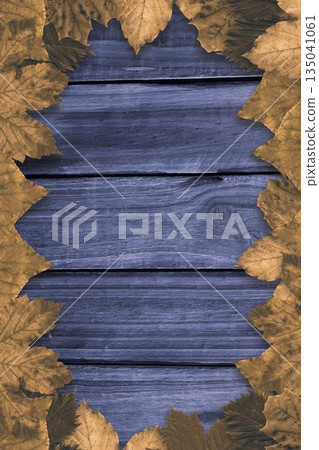 Blue-painted wooden planks are being shown on flat-lay scene, with dried golden-brown leaves border Blue-painted wooden planks are being shown on flat-lay scene, with dried golden-brown leaves border 135041061
