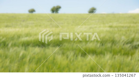 Idyllic image of landscape against sky 135041267