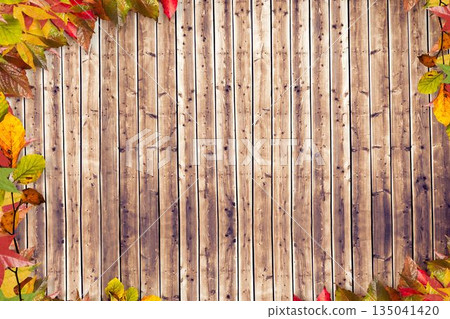 Vertical wooden planks showing rustic grain are forming flat design backdrop framing autumn leaves Vertical wooden planks showing rustic grain are forming flat design backdrop framing autumn leaves 135041420