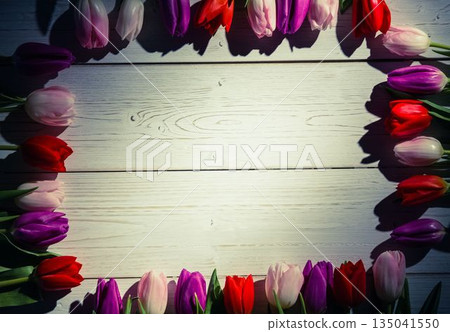 Flat design art is showing colorful tulip blossoms bordering whitewashed planks, copy space Flat design art is showing colorful tulip blossoms bordering whitewashed planks, copy space 135041550