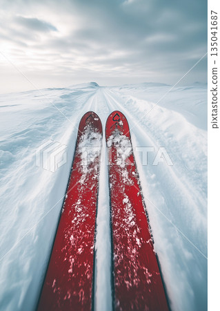 Red skis making tracks in fresh snow on cloudy day 135041687