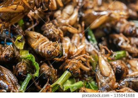 Crispy fried grasshoppers a high-protein insect snack, popular Thai street food delicacy Crispy fried grasshoppers a high-protein insect snack, popular Thai street food delicacy 135041688
