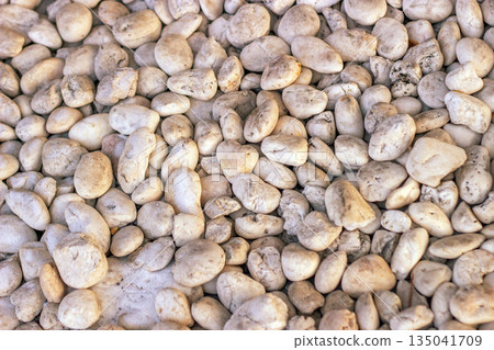 Smooth, rounded river stone texture with a soft, blurred background, highlighting natural imperfections and organic patterns Smooth, rounded river stone texture with a soft, blurred background, highlighting natural imperfections and organic patterns 135041709