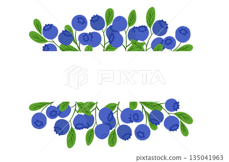 Blueberry branch border with ripe berries and green leaves drawn in clean hand drawn vector style isolated on white background. The illustration represents healthy food, summer harvest 135041963