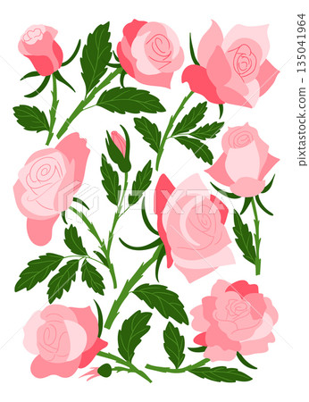 Pink rose flower set with blooming roses, buds and green leaves drawn in clean hand drawn vector style isolated on white background. The illustration represents romance, beauty Pink rose flower set with blooming roses, buds and green leaves drawn in clean hand drawn vector style isolated on white background. The illustration represents romance, beauty 135041964