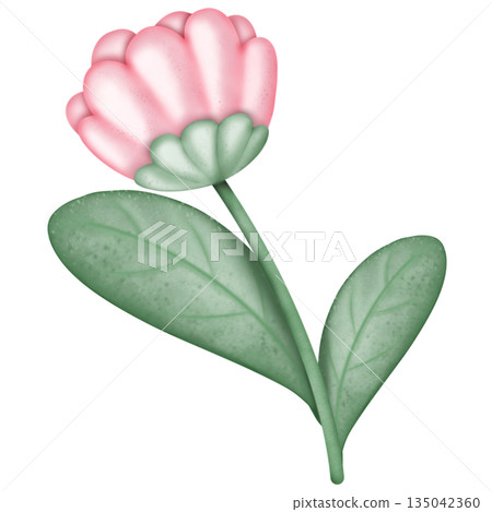 flower, blossom, watercolor 135042360