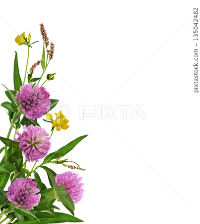 Pink clovers, wild flowers and grass in a corner arrangement isolated on white 135042482