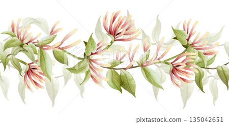 Watercolor blooming garden vine seamless border. Lush honeysuckle blossom with flowers and leaves repeat bottom banner. Pastel green, beige and pink climbing liana plant for spring nature florals 135042651
