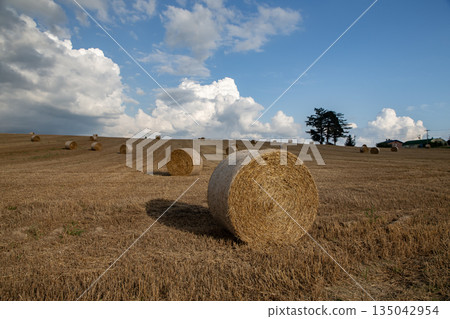 Barley Roll Hill Barley Roll Hill 135042954