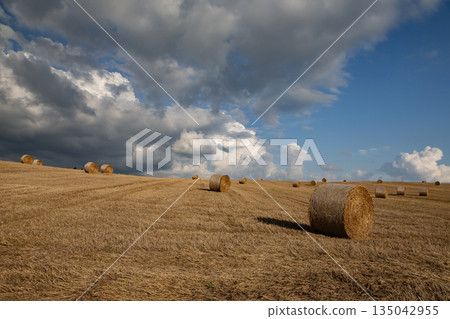 大麥卷山 135042955