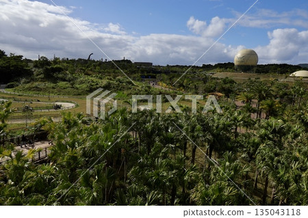 View of the hot air balloons at Junglia Okinawa, Nakijin Village, Okinawa Prefecture View of the hot air balloons at Junglia Okinawa, Nakijin Village, Okinawa Prefecture 135043118