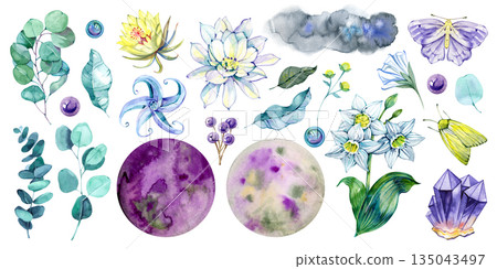 delicate watercolor illustration set featuring moon flowers, eucalyptus leaves, berries, crystals, insects, cosmic circles, and abstract elements. Perfect for branding, stationery, patterns, stickers 135043497