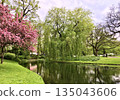 Beautiful spring landscape in a public park 135043606