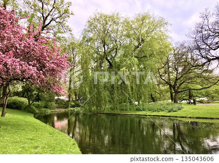 spring, springtime, spring sky 135043606