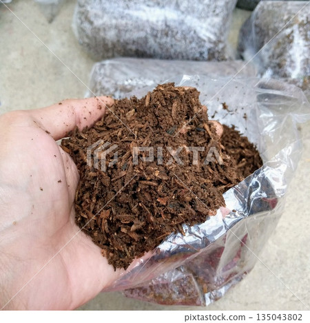 Hand Holding Organic Compost Soil with Shredded Wood Bark for Gardening and Agriculture 135043802