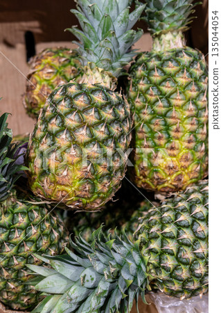 Fresh Pineapples With Spiky Green Tops Piled Together For Market Display Fresh Pineapples With Spiky Green Tops Piled Together For Market Display 135044054