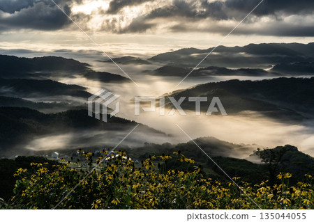 Spectacular mountain views and a sea of clouds 135044055