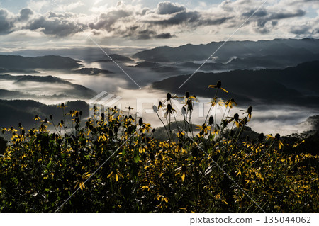 壯麗的山景和雲海 135044062