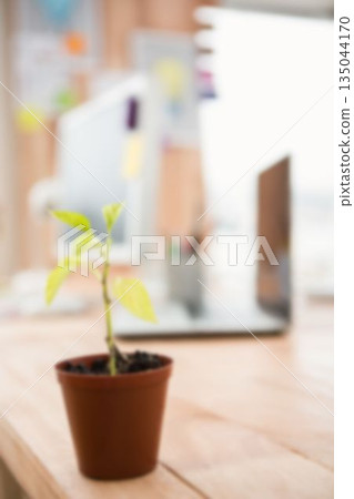 Defocused image of potted plant on table Defocused image of potted plant on table 135044170