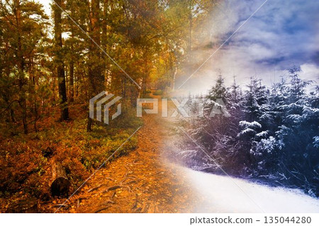 Autumn changing to winter Autumn changing to winter 135044280