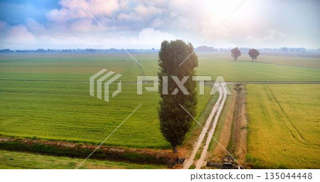 Little road between grass field Little road between grass field 135044448