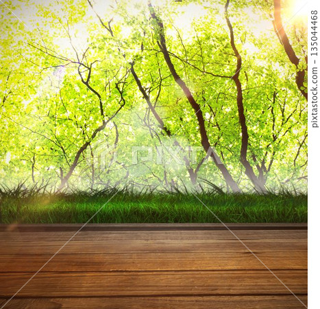 Wooden floor against green leaves Wooden floor against green leaves 135044468
